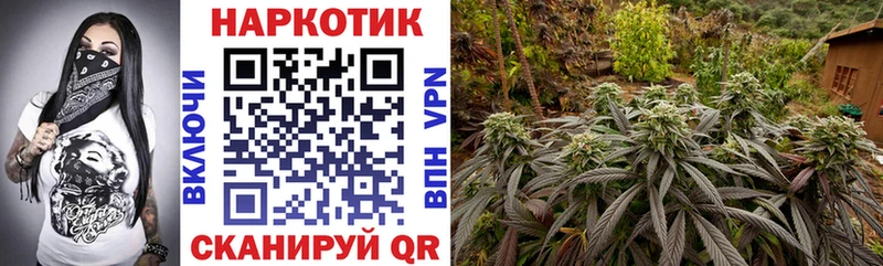 Наркошоп купить Гашиш  МЕФ  Новоульяновск