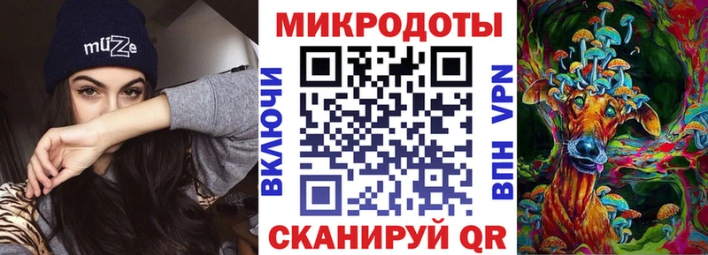 Купить закладки  Новоульяновск  Галлюциногенные грибы Psilocybe 